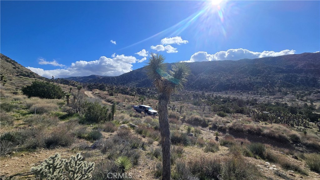 0 Pinon Road Llano, CA 93544 - Photo 19 of 31