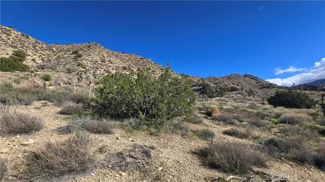 $59,900 | 0 Pinon Road, Llano, CA 93544