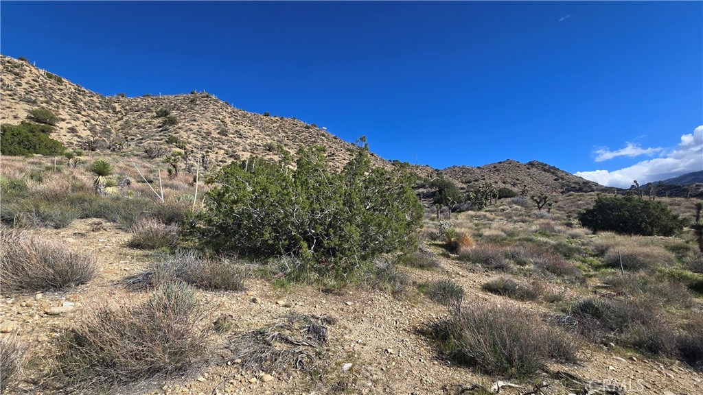 0 Pinon Road Llano, CA 93544 - Photo 21 of 31