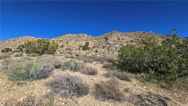 $59,900 | 0 Pinon Road, Llano, CA 93544