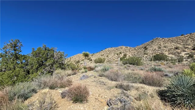 $59,900 | 0 Pinon Road, Llano, CA 93544