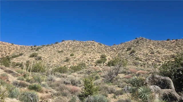 $59,900 | 0 Pinon Road, Llano, CA 93544