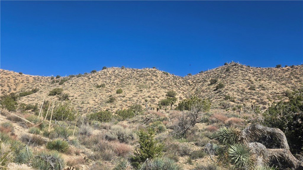 0 Pinon Road Llano, CA 93544 - Photo 9 of 31