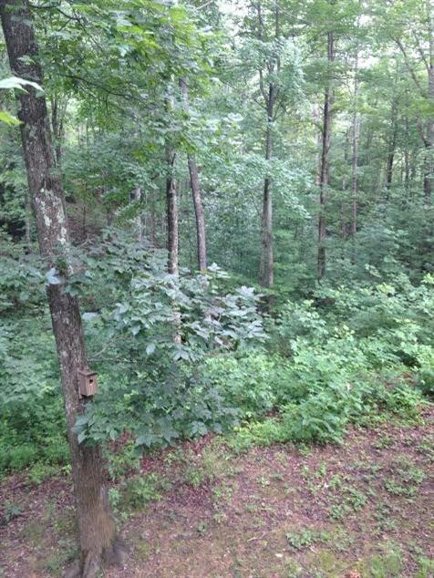 518 Deer Run Road Wellington, KY 40387 - Photo 8 of 24 Photo 8