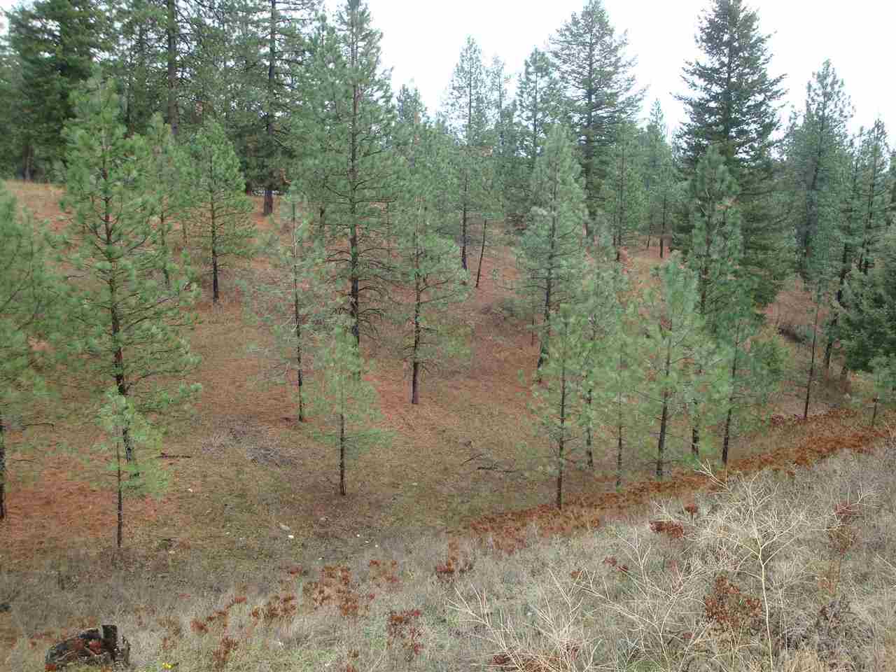 13702 East Nelson Road Elk, WA 99009 - Photo 19 of 20 Gallery Image 19