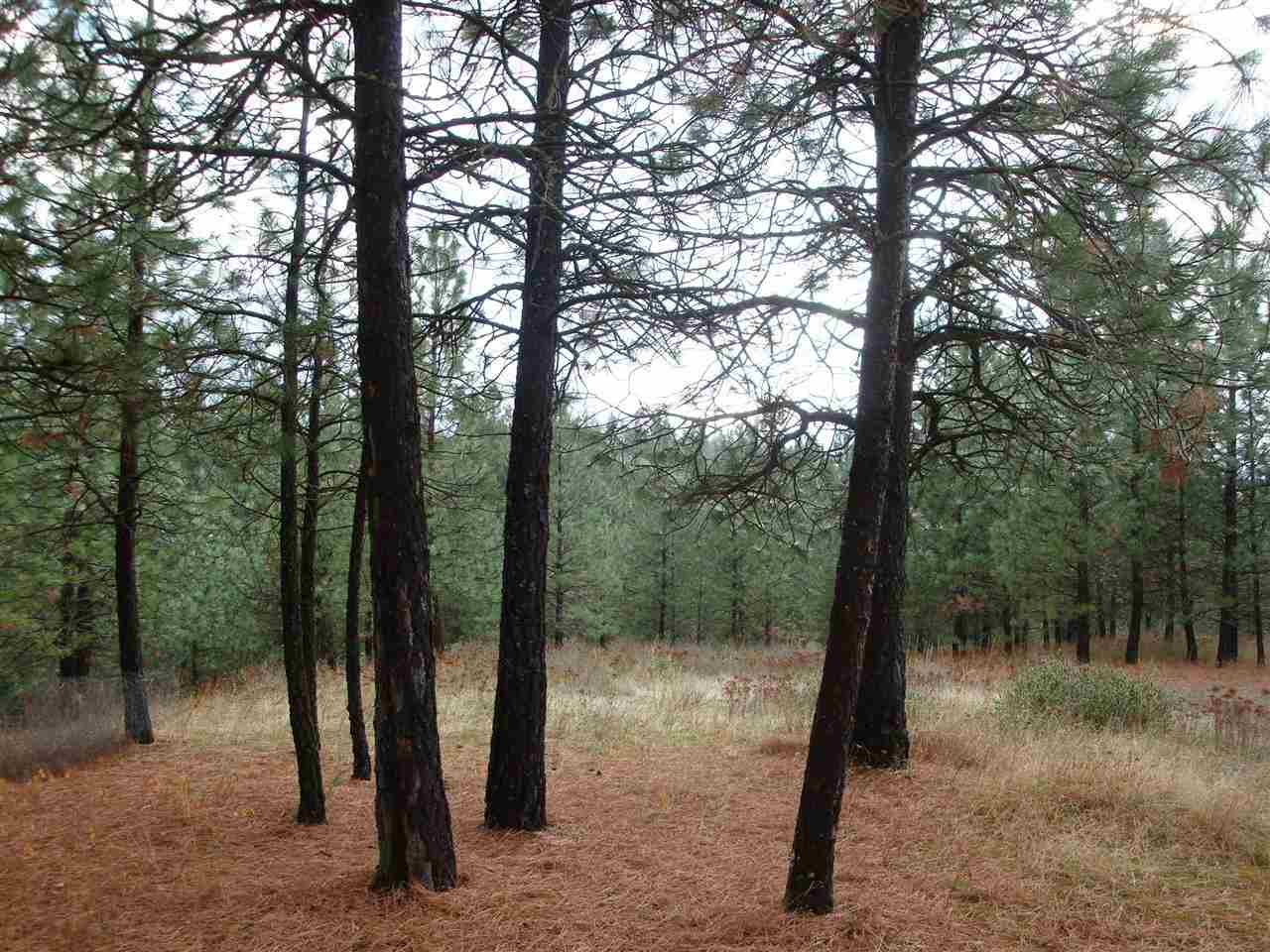13702 East Nelson Road Elk, WA 99009 - Photo 20 of 20 Gallery Image 20