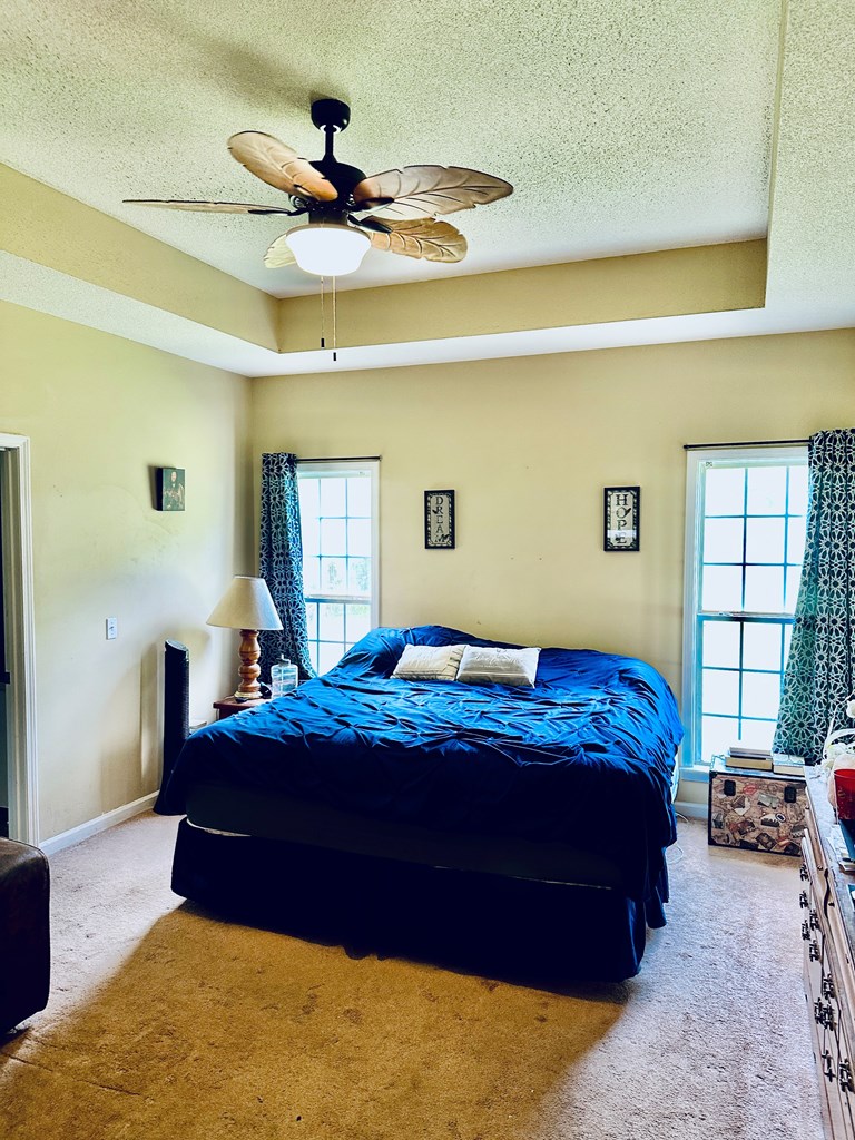 47 Miller Road Cowarts, AL 36321 - Photo 8 of 21 master