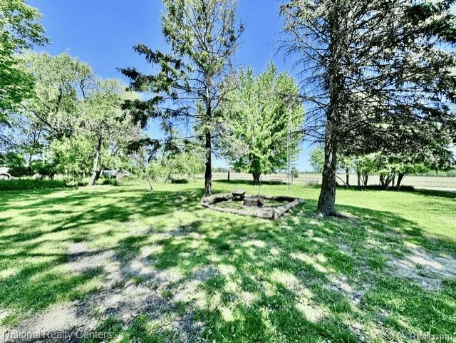 4800 Fargo Road Croswell, MI 48422 - Photo 3 of 5