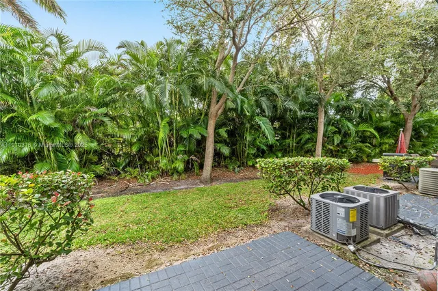 a view of a garden with plants and large trees