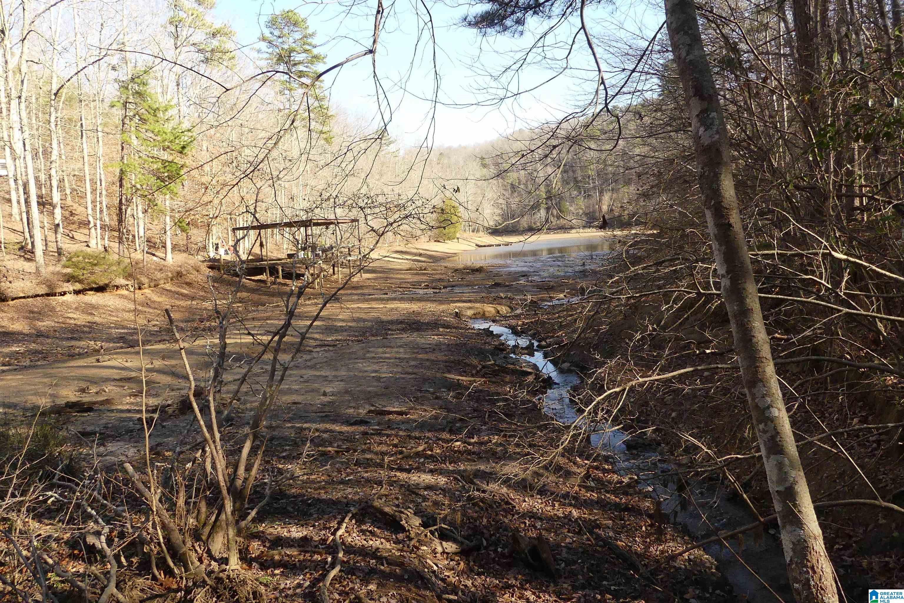Lot # Harbour Point Drive, Unit 9 Delta, AL 36258 - Photo 2 of 8