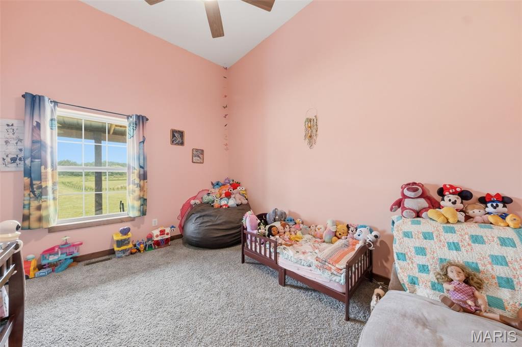 29601 Bueltmann Road Jonesburg, MO 63351 - Photo 35 of 73