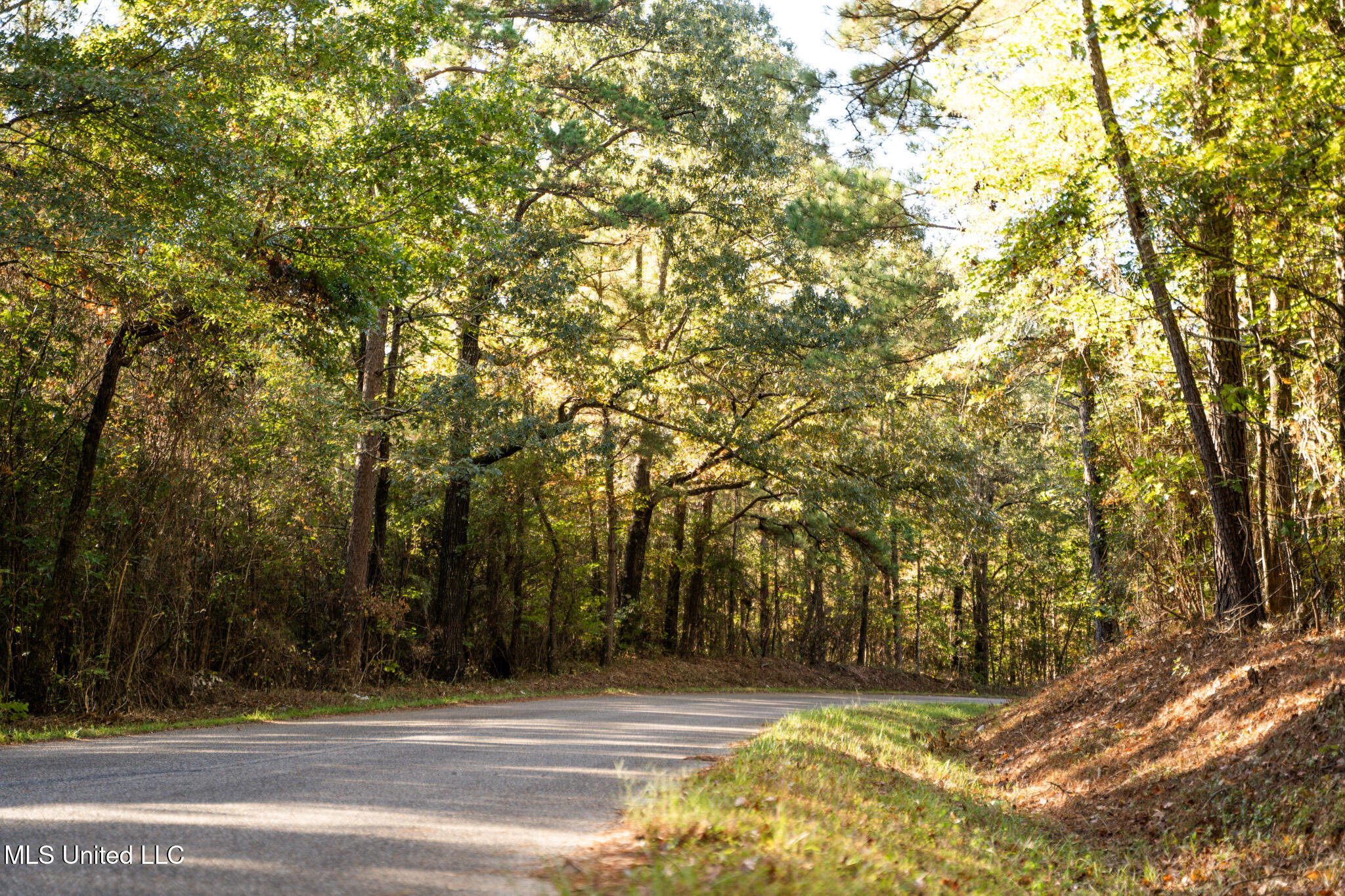 Lake View Meridian, MS 39301 - Photo 11 of 21 DSC07424