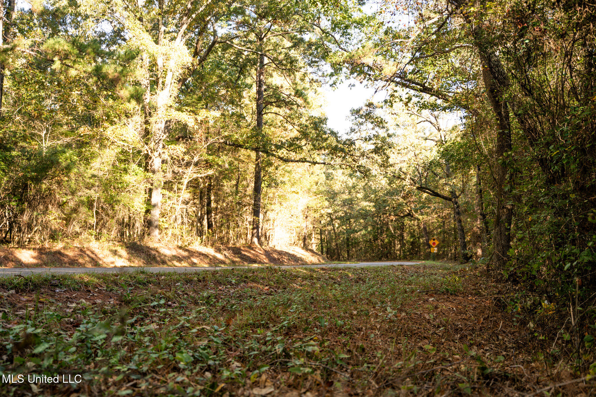Lake View Meridian, MS 39301 - Photo 12 of 21 DSC07423