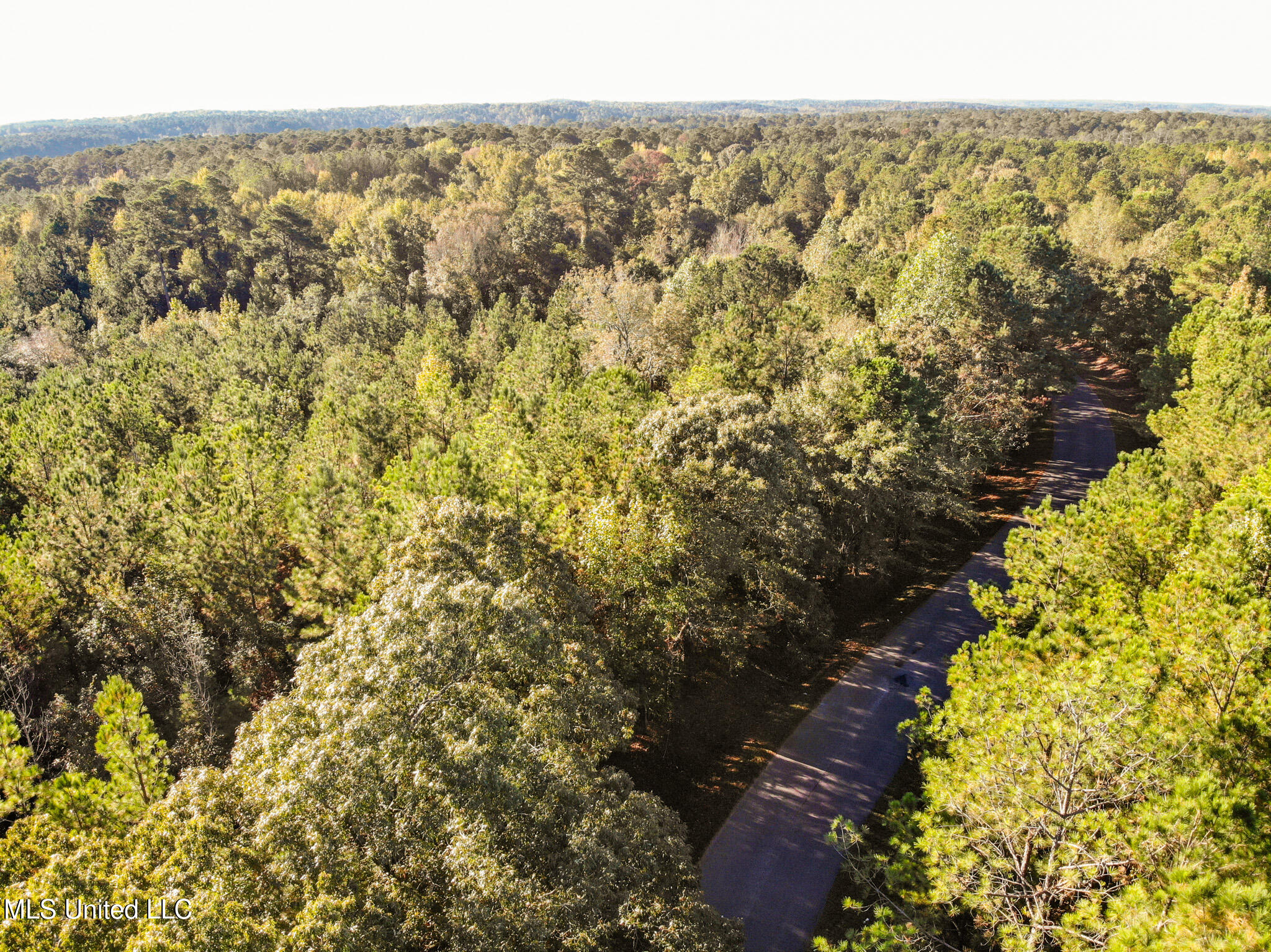 Lake View Meridian, MS 39301 - Photo 13 of 21 DJI_0831