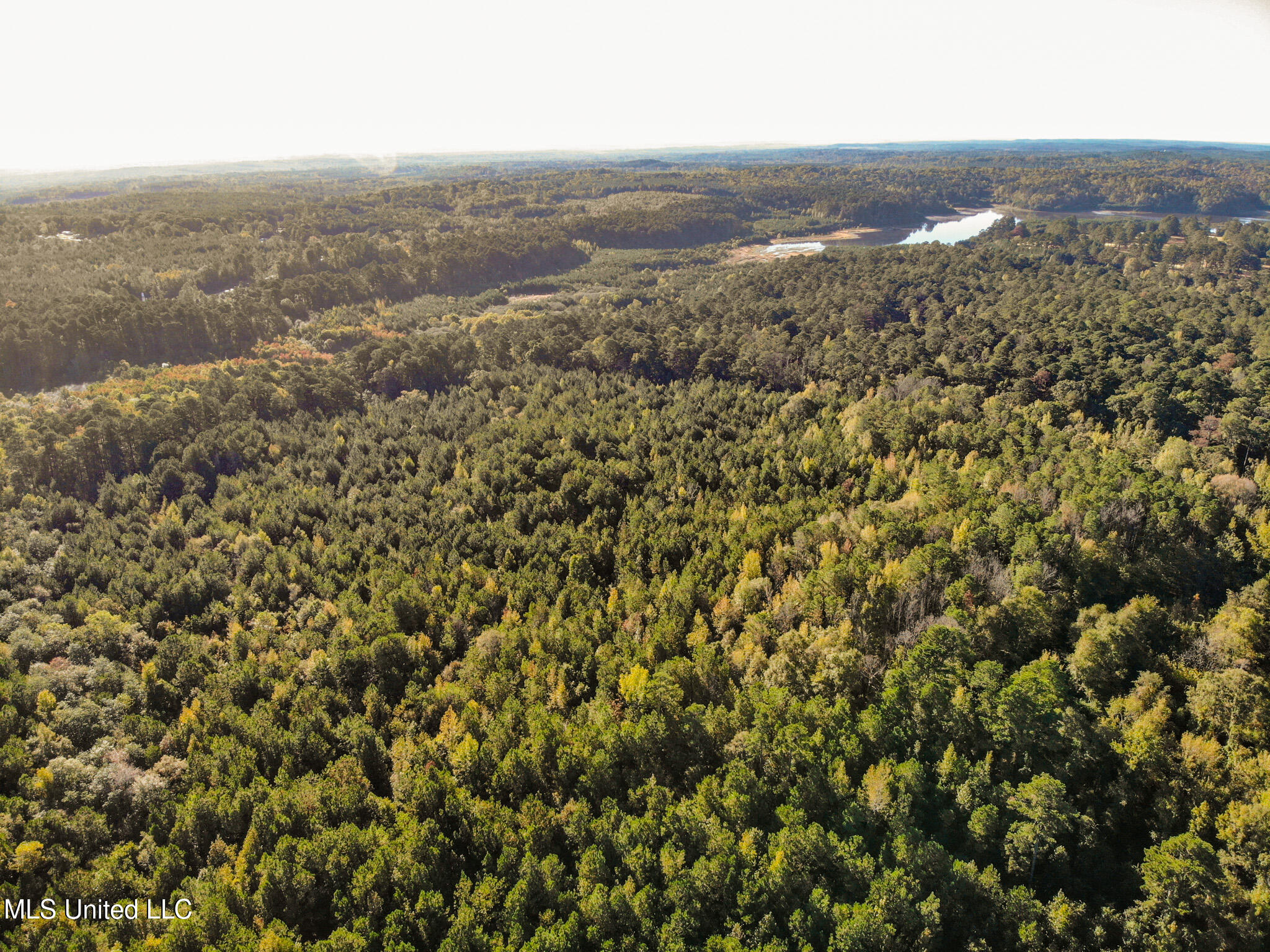 Lake View Meridian, MS 39301 - Photo 16 of 21 DJI_0823
