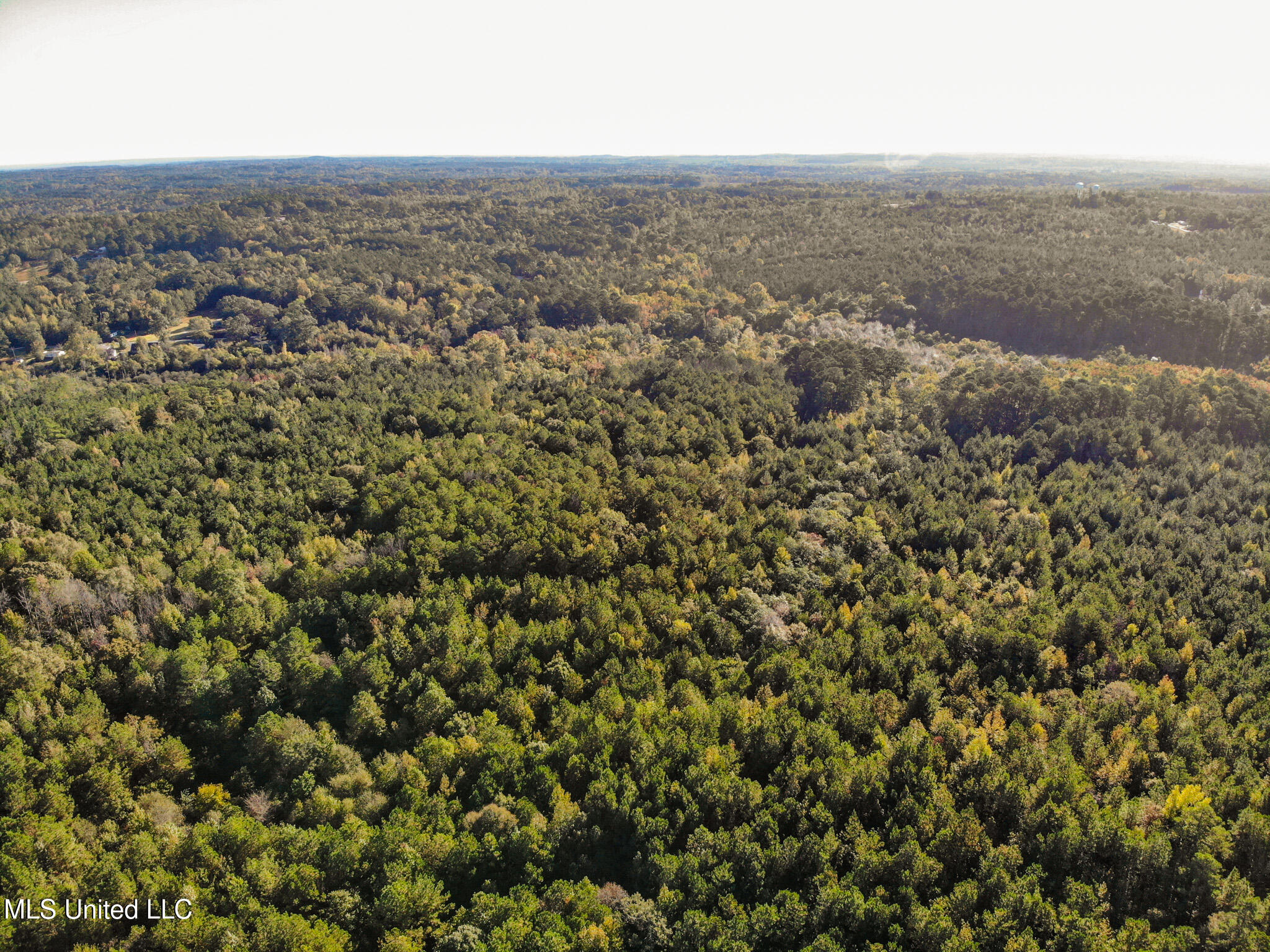 Lake View Meridian, MS 39301 - Photo 17 of 21 DJI_0822