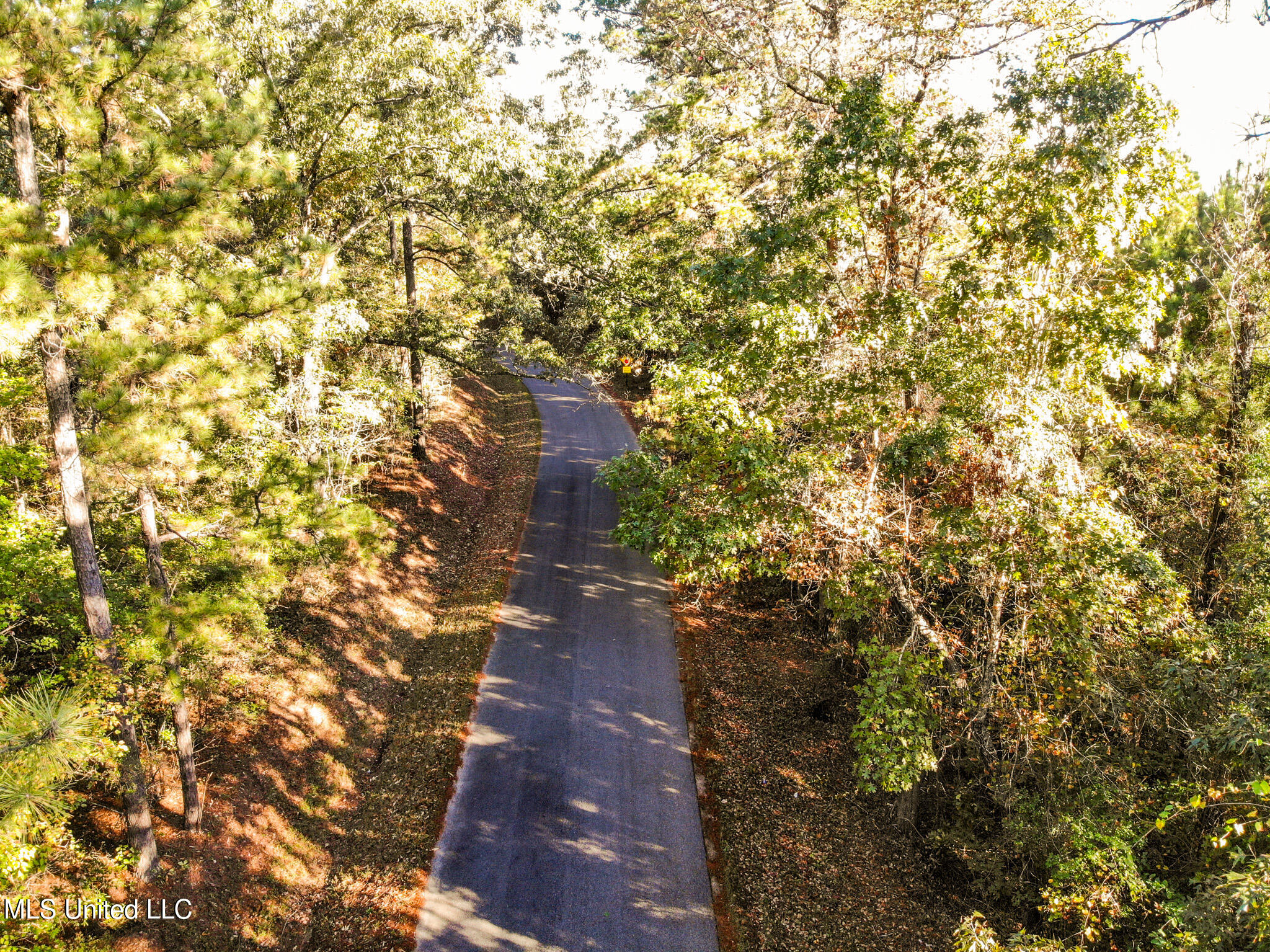 Lake View Meridian, MS 39301 - Photo 18 of 21 DJI_0811