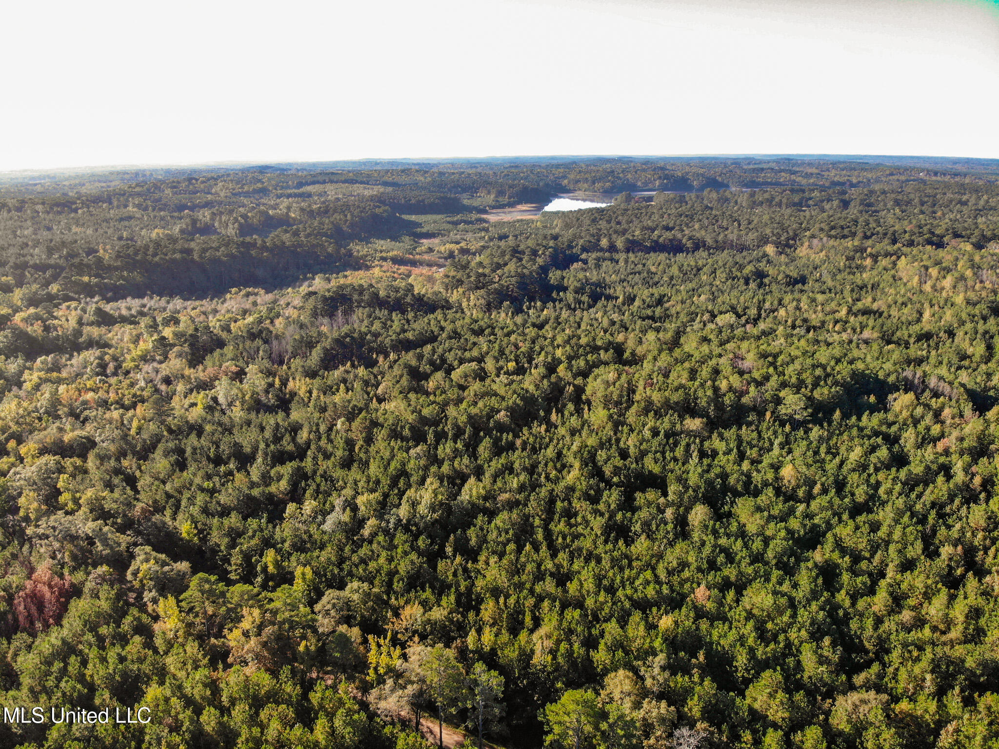 Lake View Meridian, MS 39301 - Photo 19 of 21 DJI_0798