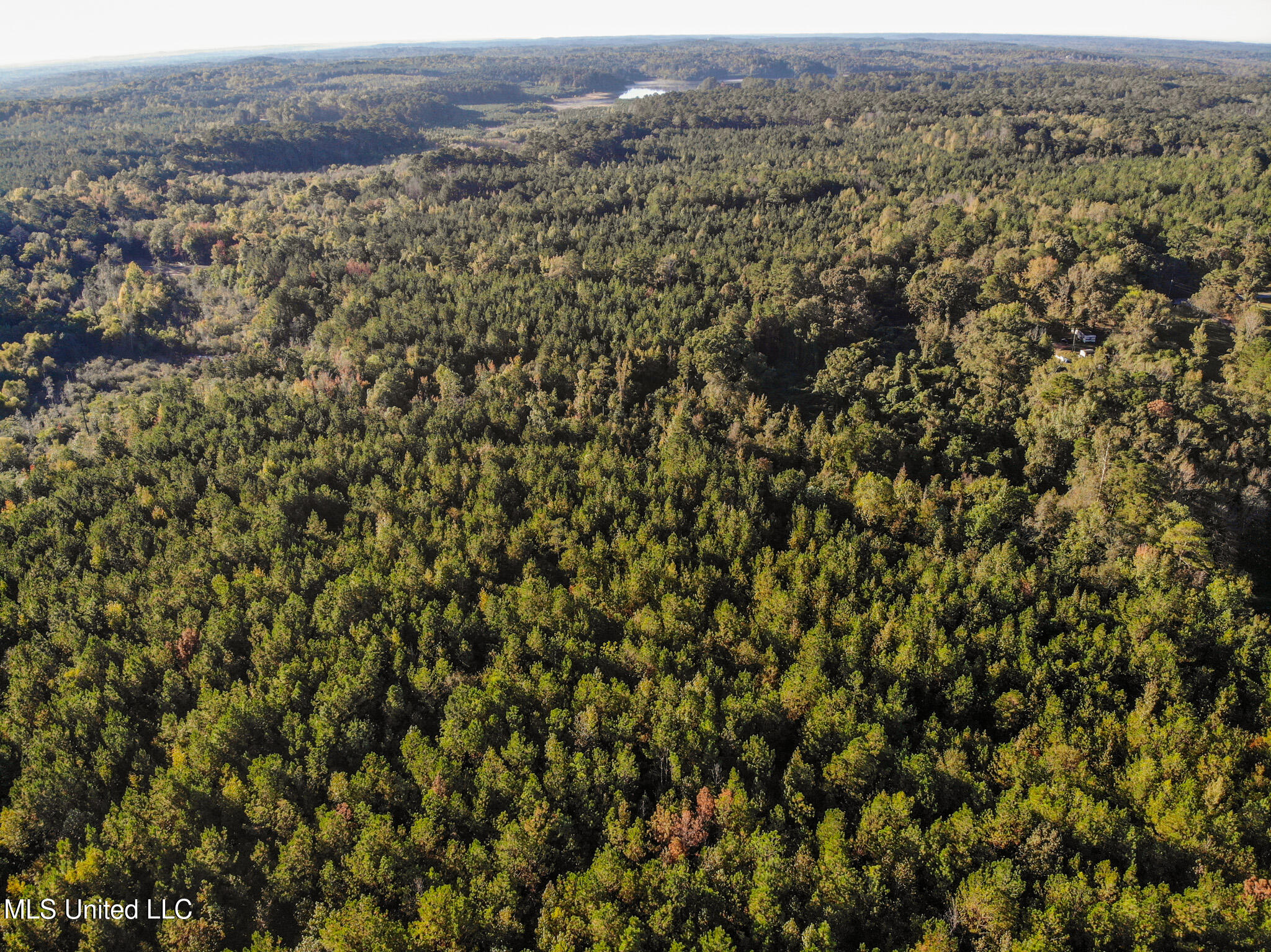 Lake View Meridian, MS 39301 - Photo 21 of 21 DJI_0781