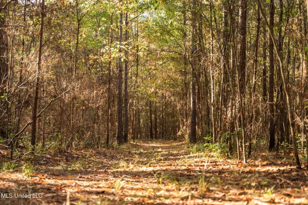 $283,500 | Lake View, Meridian, MS 39301