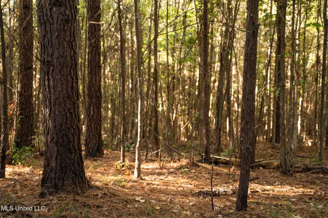 $283,500 | Lake View, Meridian, MS 39301