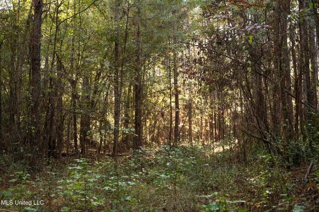 $283,500 | Lake View, Meridian, MS 39301