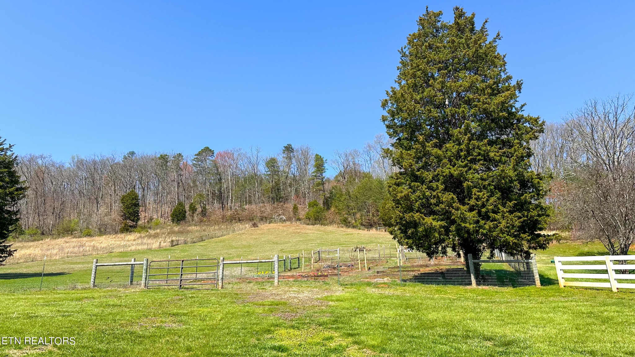 8023 Hall Road Knoxville, TN 37920 - Photo 49 of 55 Gallery Image 49