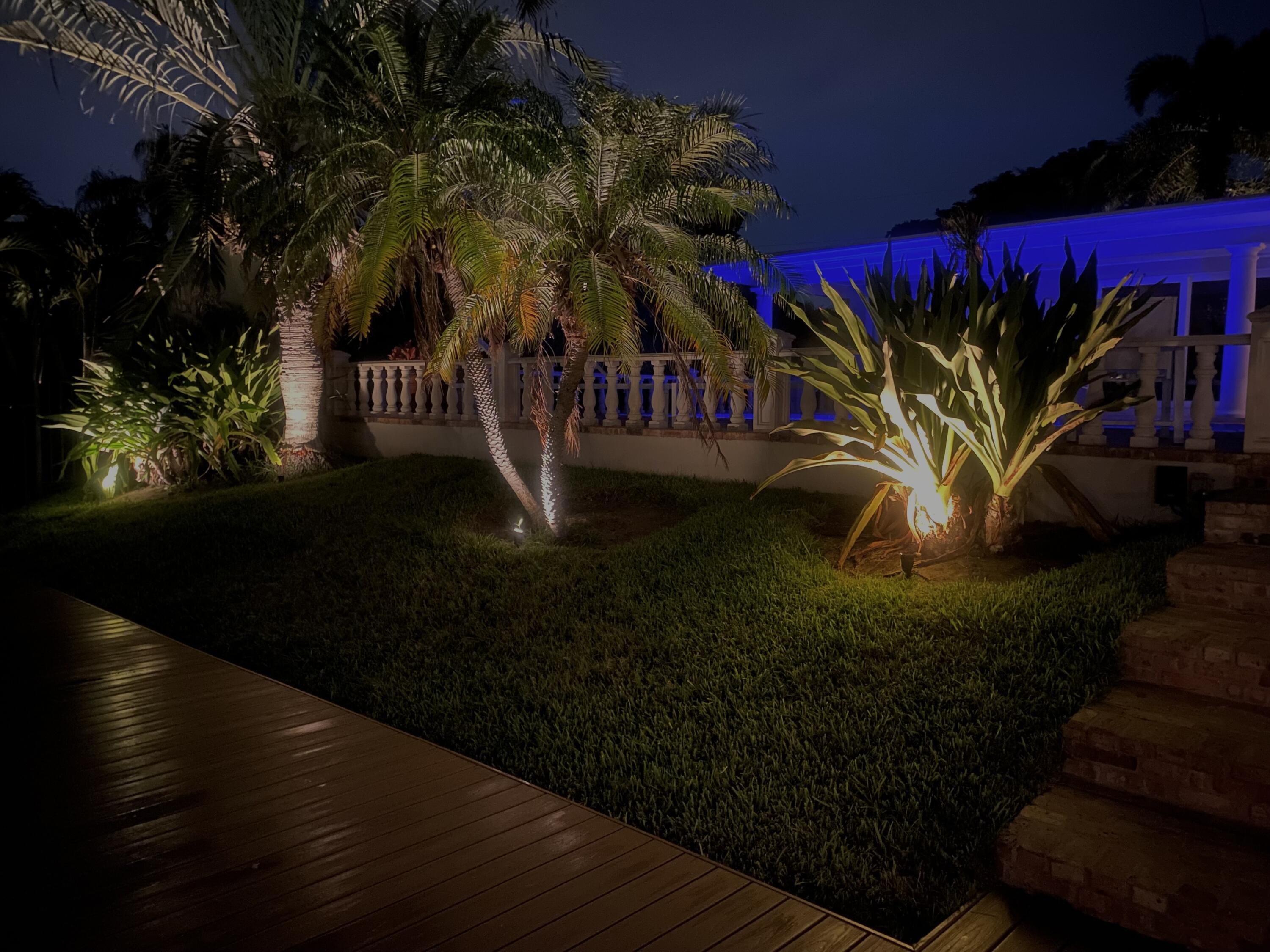 4450 Northeast 24th Terrace Lighthouse Point, FL 33064 - Photo 5 of 47 a view of a street with plants and trees