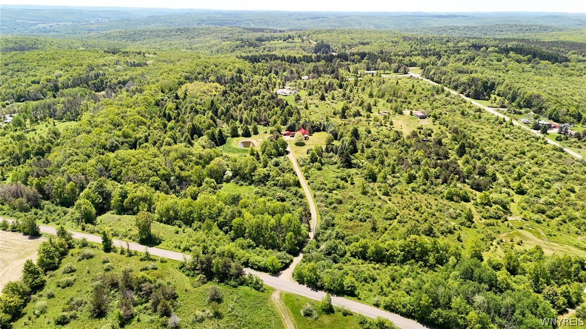 517 West Branch Road Farmersville, NY 14737 - Photo 45 of 49