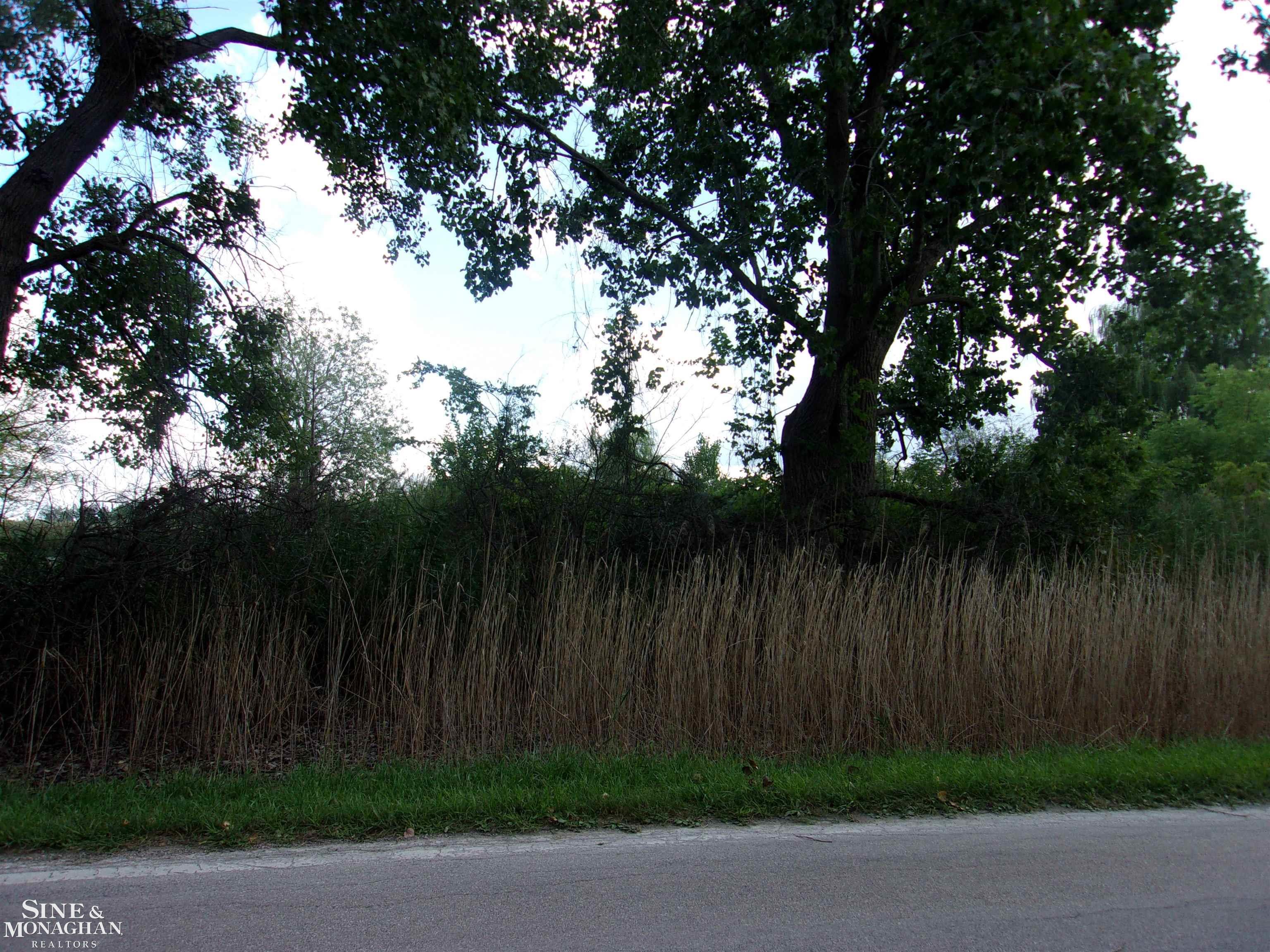 0 Jerry Road Harsens Island, MI 48028 - Photo 3 of 11 50087716-2.JPG