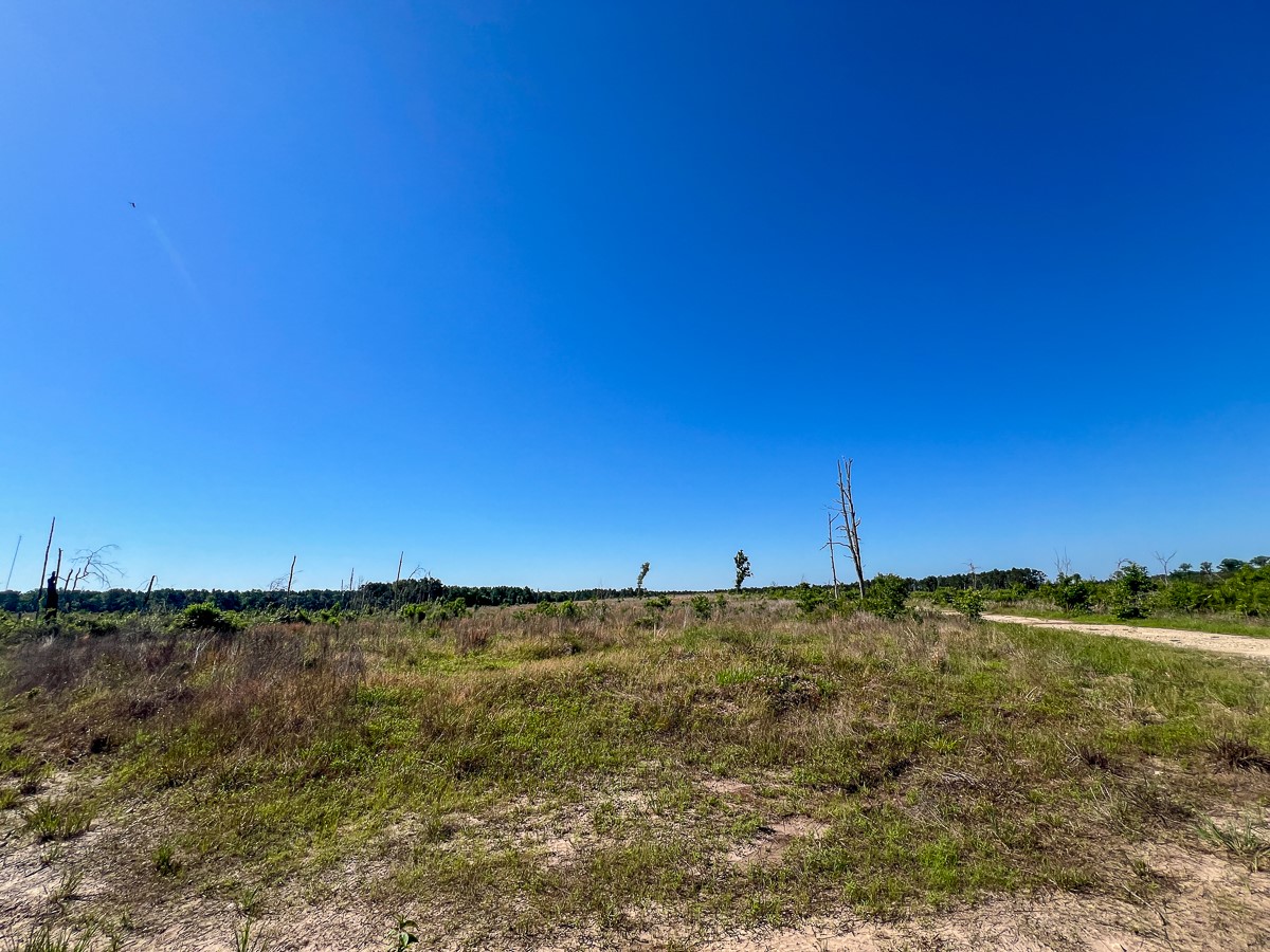 355 Eliot Trinity, TX 75862 - Photo 4 of 13