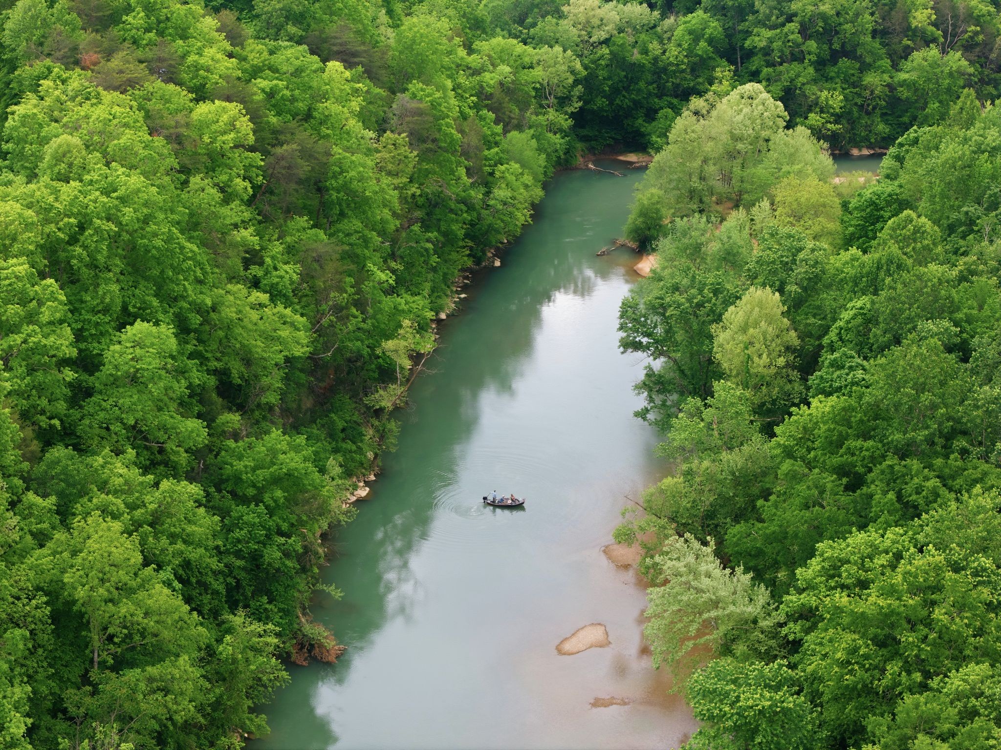 309 River Bluff Road Linden, TN 37096 - Photo 49 of 55