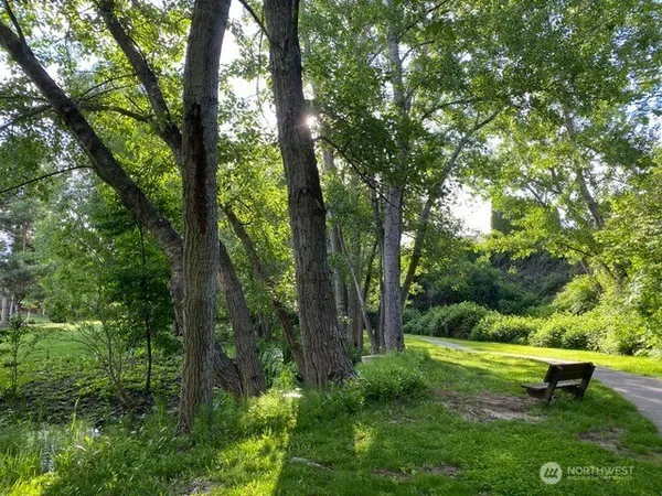 a view of a garden with a fountain
