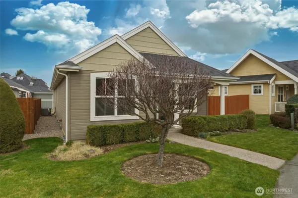 a view of a yard in front of a house with plants and large tree