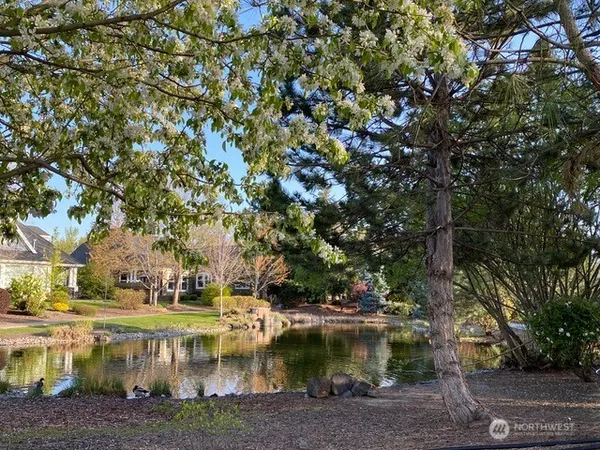 a view of park with green space