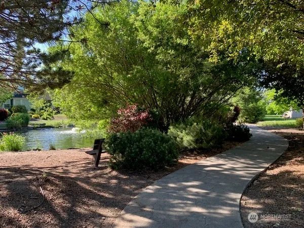 a view of a yard with plants and trees