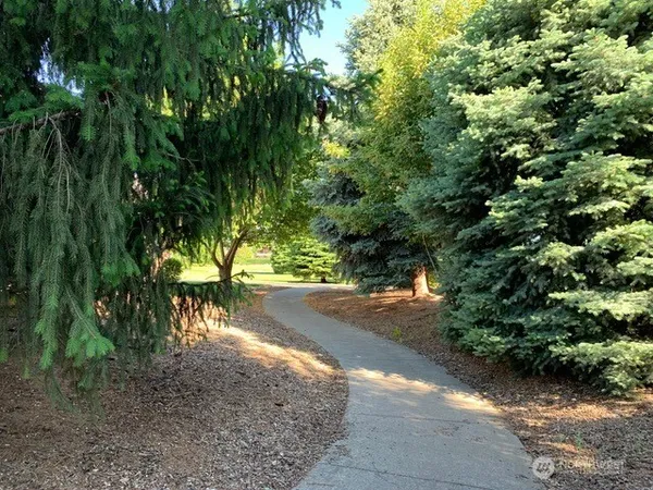 a view of a yard with plants and trees