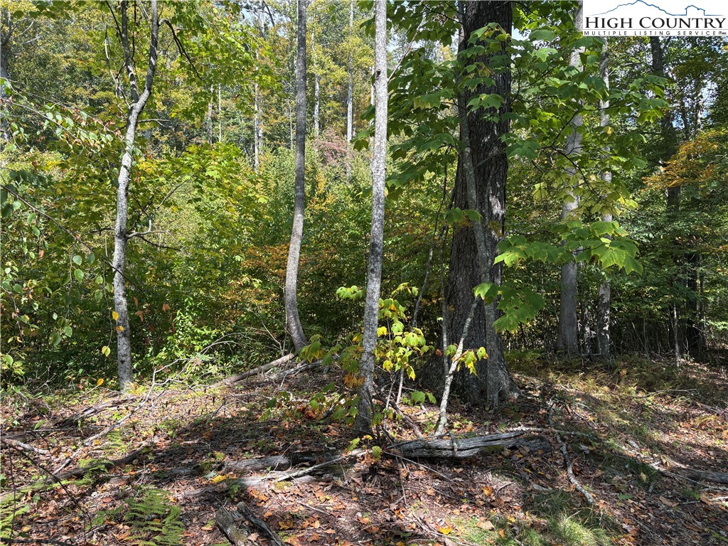 Lot 18 Jackson Ridge Road Boone, NC 28607 - Photo 12 of 20 a view of a outdoor space