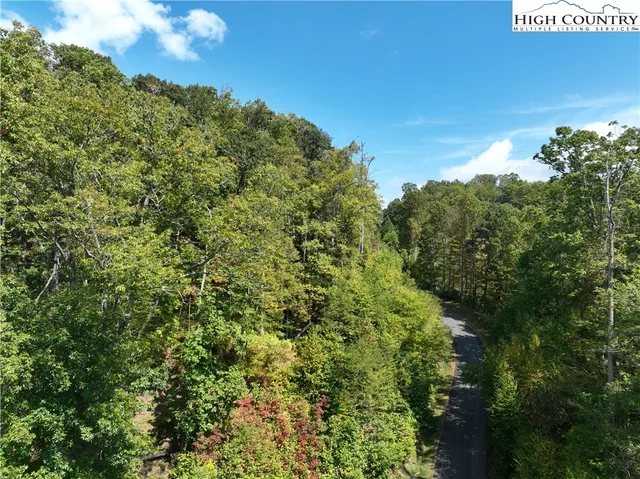 a view of a bunch of trees and bushes