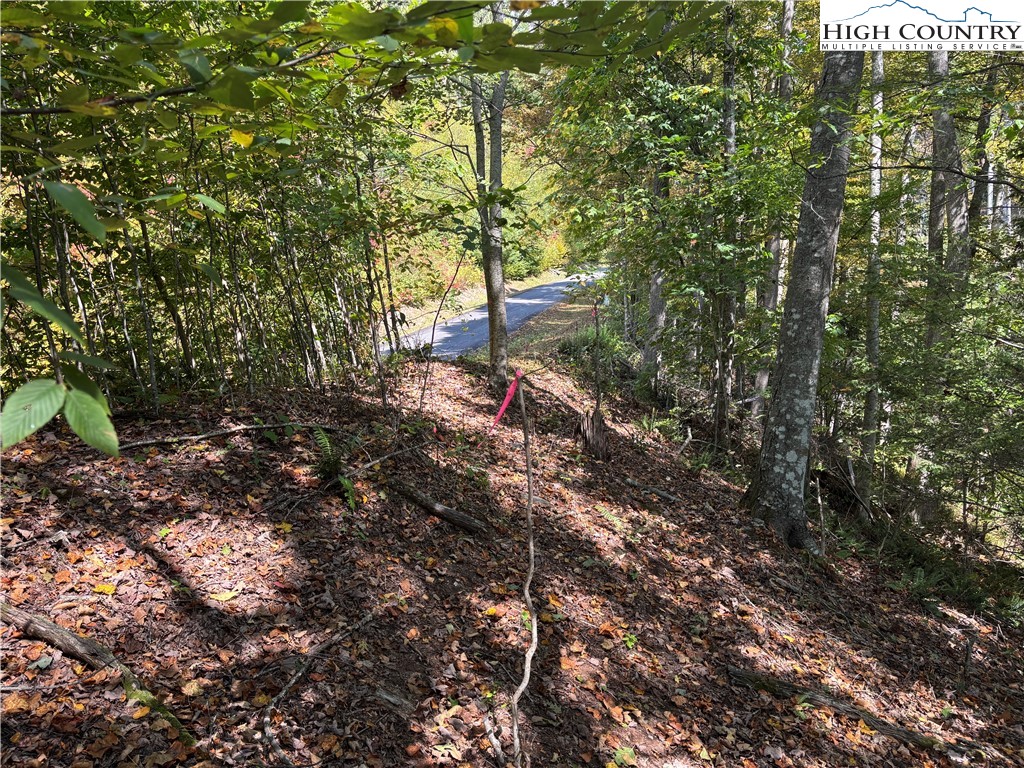 Lot 18 Jackson Ridge Road Boone, NC 28607 - Photo 19 of 20