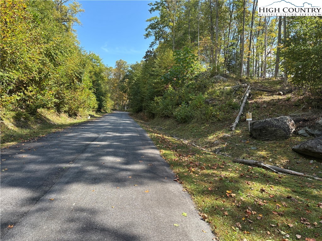 Lot 18 Jackson Ridge Road Boone, NC 28607 - Photo 2 of 20 a view of a yard with plants and trees