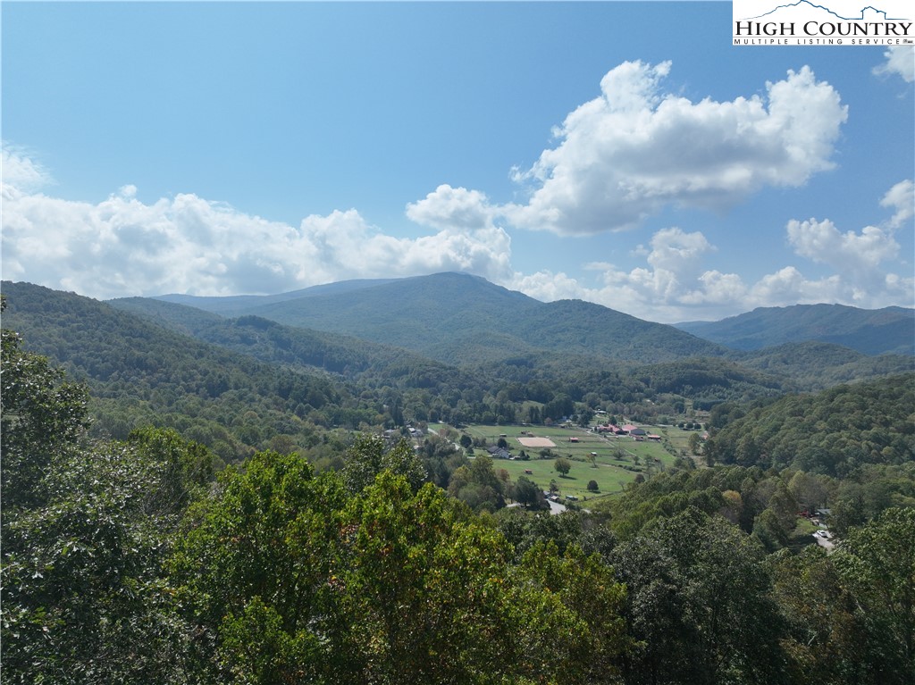 Lot 18 Jackson Ridge Road Boone, NC 28607 - Photo 5 of 20 a view of a bunch of trees in background