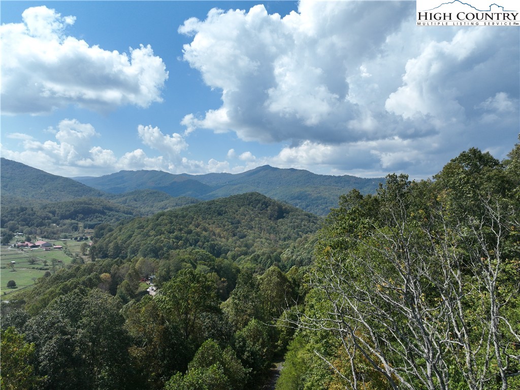 Lot 18 Jackson Ridge Road Boone, NC 28607 - Photo 7 of 20 a view of a bunch of trees