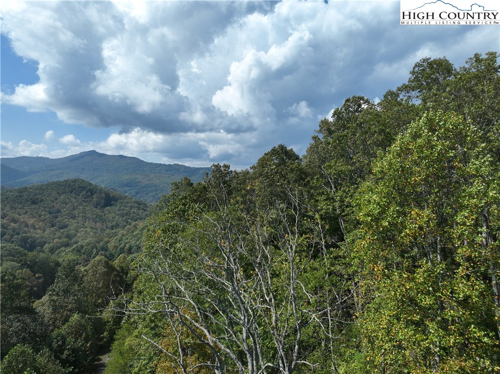 Lot 18 Jackson Ridge Road Boone, NC 28607 - Photo 8 of 20 a view of a bunch of trees