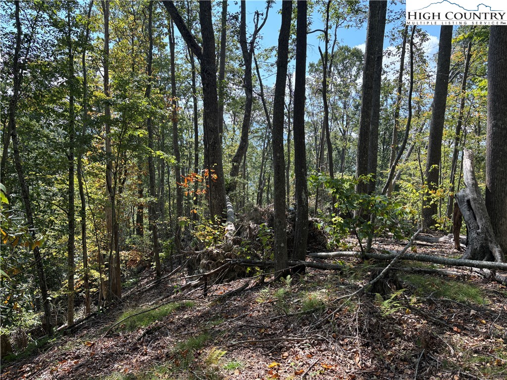 Lot 18 Jackson Ridge Road Boone, NC 28607 - Photo 9 of 20 a view of forest