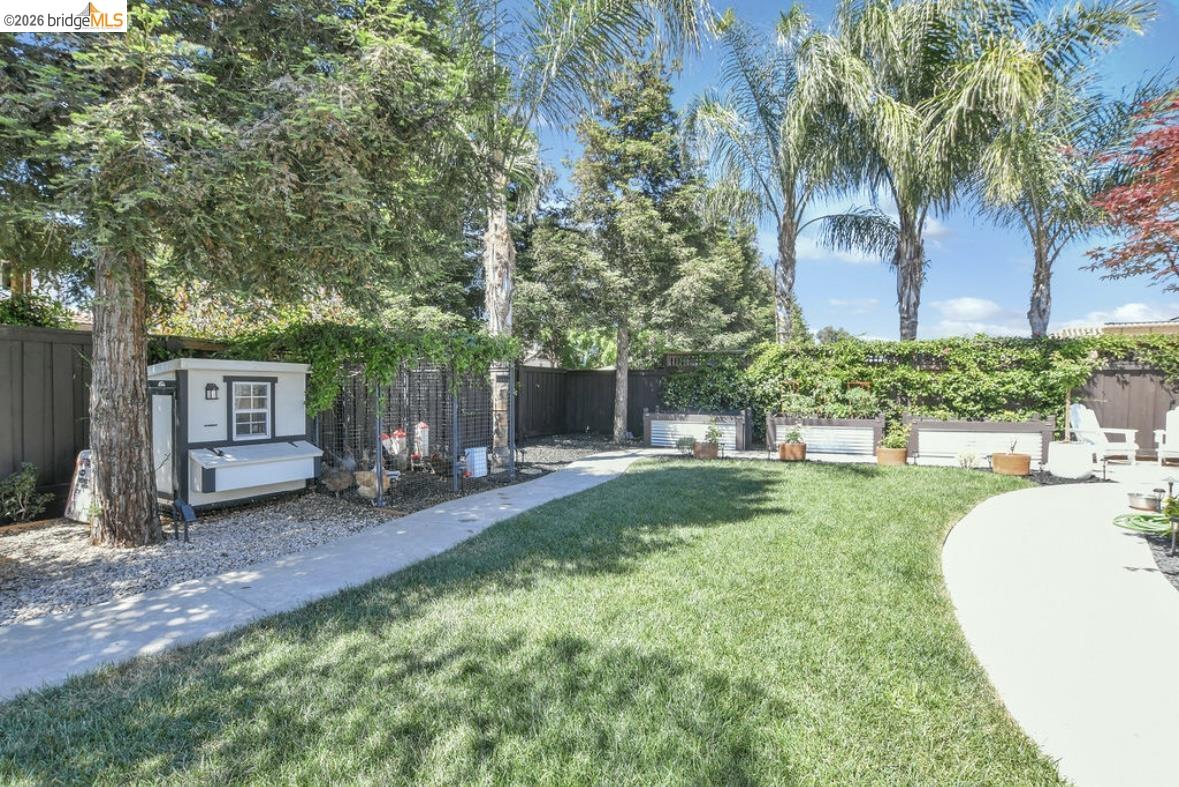 1605 Lone Oak Road Brentwood, CA 94513 - Photo 43 of 55 a view of a backyard with table and chairs potted plants and large tree