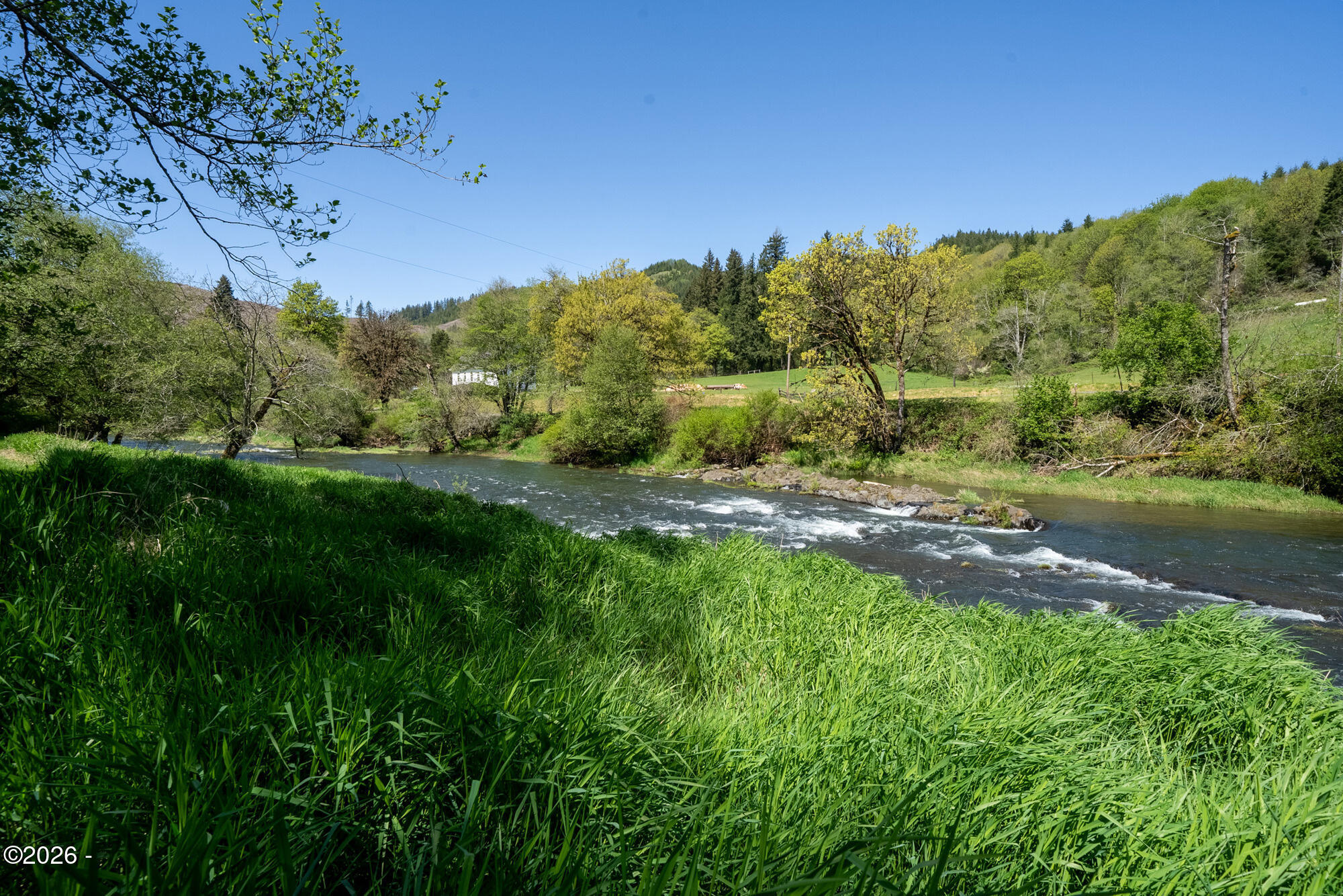 32185 Upper Nestucca Road Beaver, OR 97108 - Photo 6 of 24 River Frontage