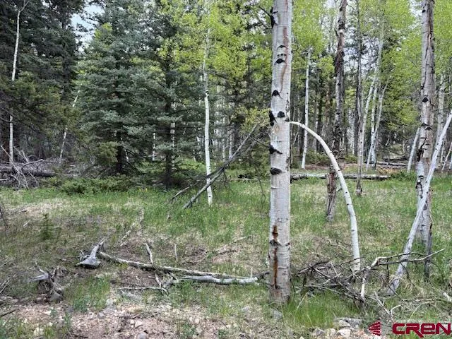 a backyard of a house with lots of green space and plants