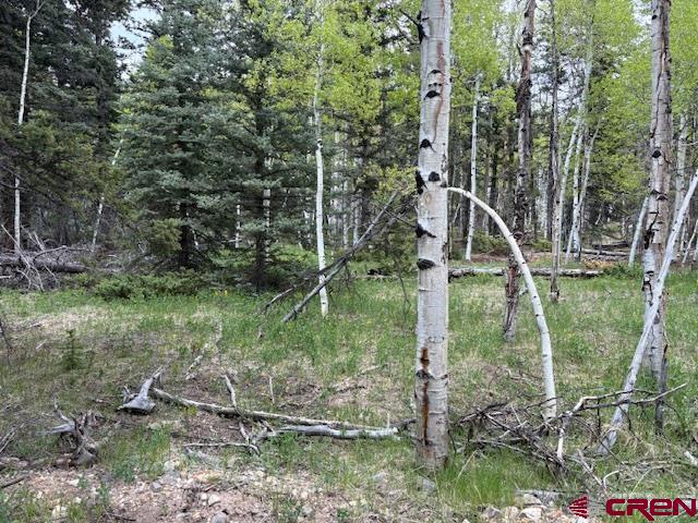 a backyard of a house with lots of green space and plants