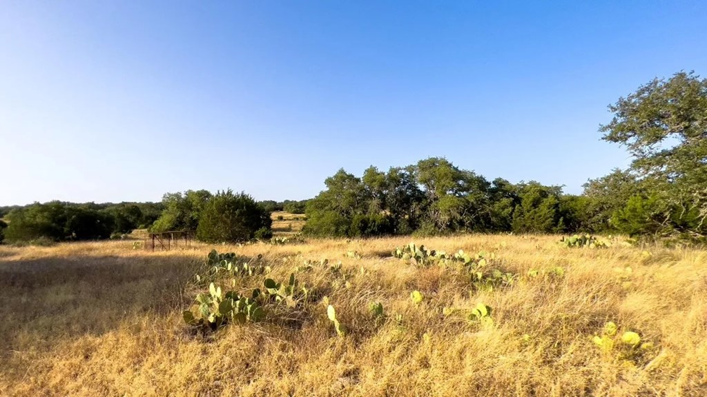 2 Elrincon Road Mountain Home, TX 78058 - Photo 7 of 22